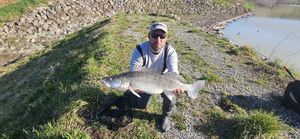 Zander