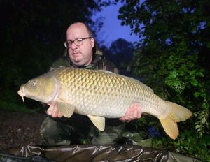 Common Carp
