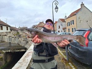 Rainbow Trout