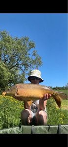 Leather Carp