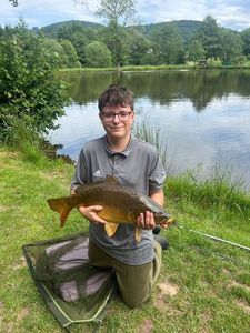 Mirror Carp