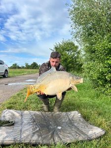 Mirror Carp