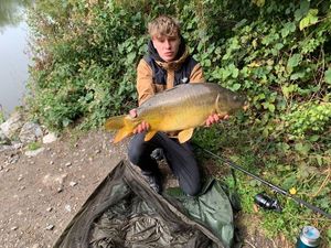 Mirror Carp
