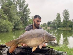 Mirror Carp