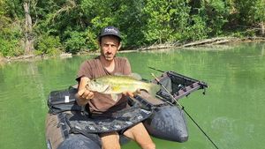 Largemouth Bass