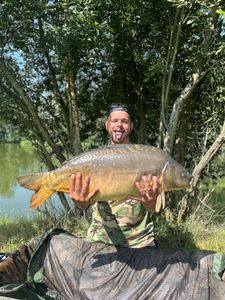 Mirror Carp