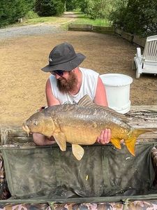 Mirror Carp