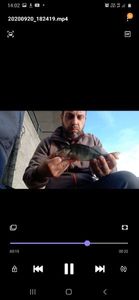European Perch