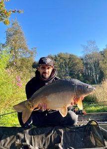 Mirror Carp