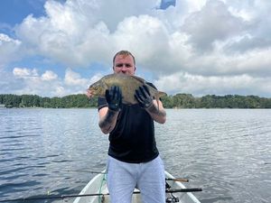 Common Bream