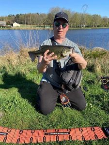 Smallmouth Bass