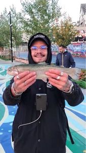 Rainbow Trout