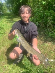 Northern Pike