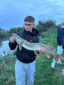 Northern Pike