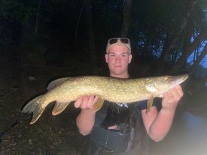 Northern Pike