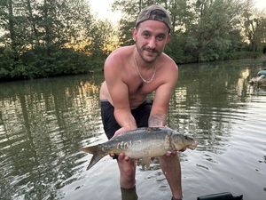 Mirror Carp
