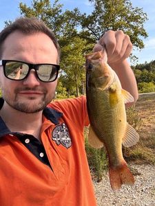 Largemouth Bass