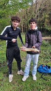 Northern Pike