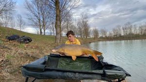 Common Carp