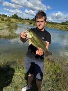 Largemouth Bass