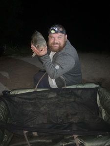 Leather Carp