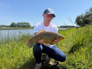 Tench