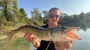 Northern Pike