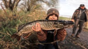 Northern Pike