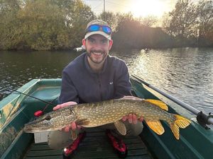 Northern Pike
