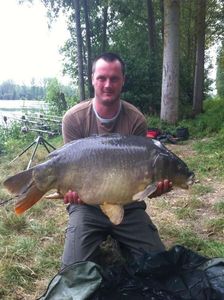 Mirror Carp