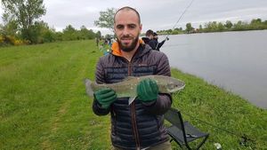 Rainbow Trout