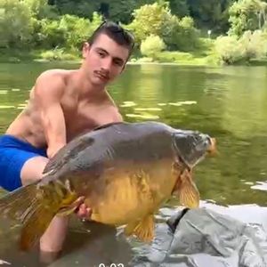 Mirror Carp