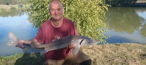 Sturgeon