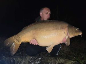Mirror Carp