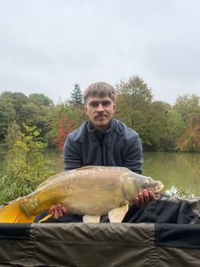 Mirror Carp