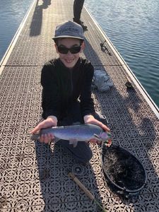 Rainbow Trout