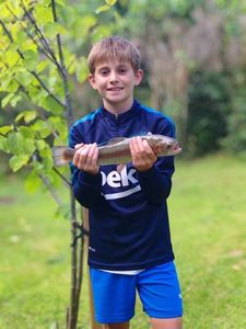 Rainbow Trout