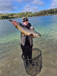 Tiger Trout
