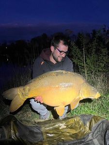 Mirror Carp