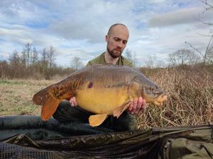 Mirror Carp