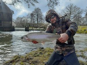 Rainbow Trout