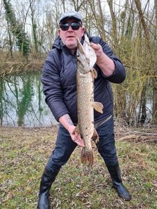 Northern Pike