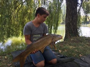 Silver Carp
