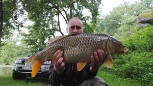 Common Carp