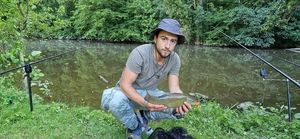 Tench