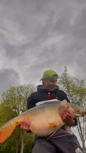 Mirror Carp