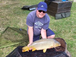 Common Carp