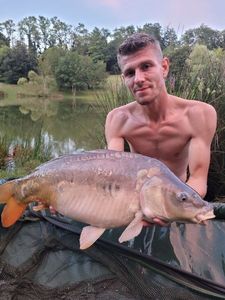 Mirror Carp