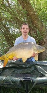 Mirror Carp
