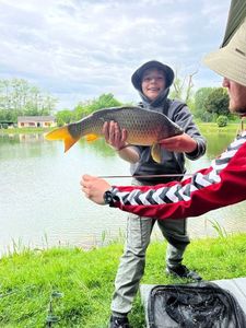 Common Carp